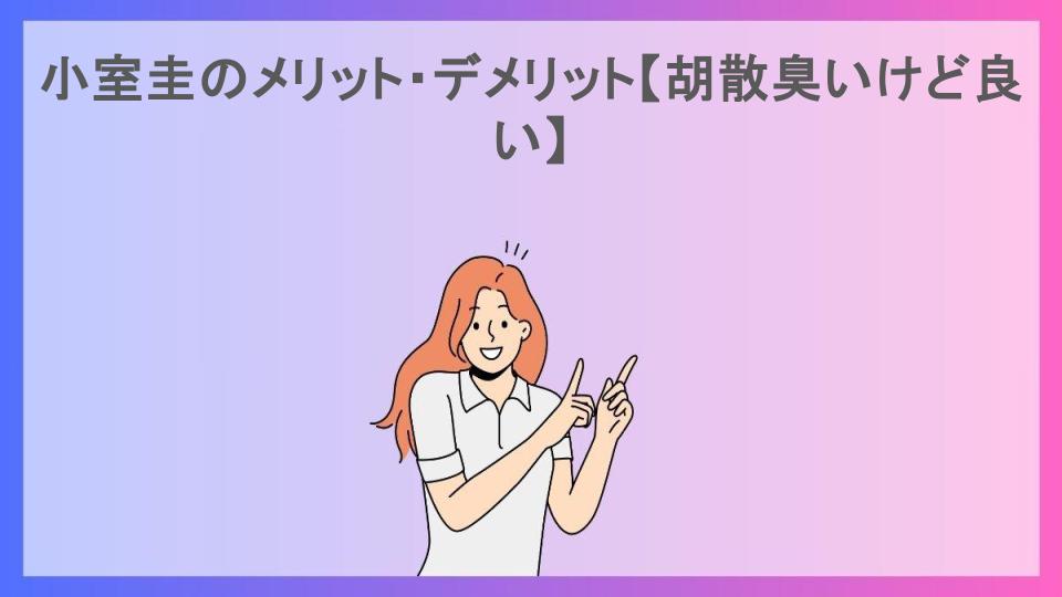 小室圭のメリット・デメリット【胡散臭いけど良い】